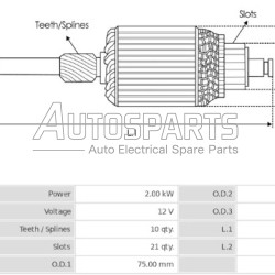 IA161 - PROTECH, ΠΟΜΠΙΝΑ ΜΙΖΑΣ BOSCH 12V ΨΙΛΟ ΑΞΟΝΑ
