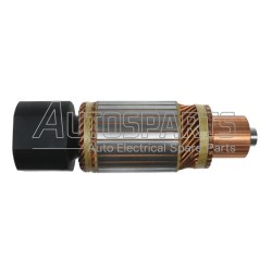 IA124 - PROTECH, ΠΟΜΠΙΝΑ ΜΙΖΑΣ BOSCH 24V 6/24 FKB ΜΑΚΡΥΑ