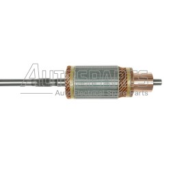 IA200 - PROTECH, ΠΟΜΠΙΝΑ ΜΙΖΑΣ BOSCH 24V CATERPILLAR